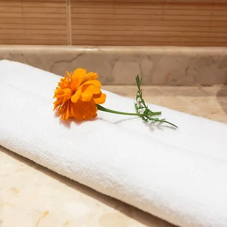 Serenity Bay 茨雷沃